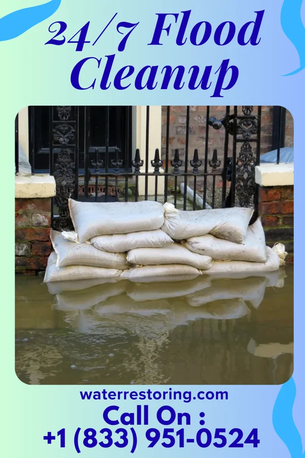 24/7 Flood Cleanup in Walworth, WI