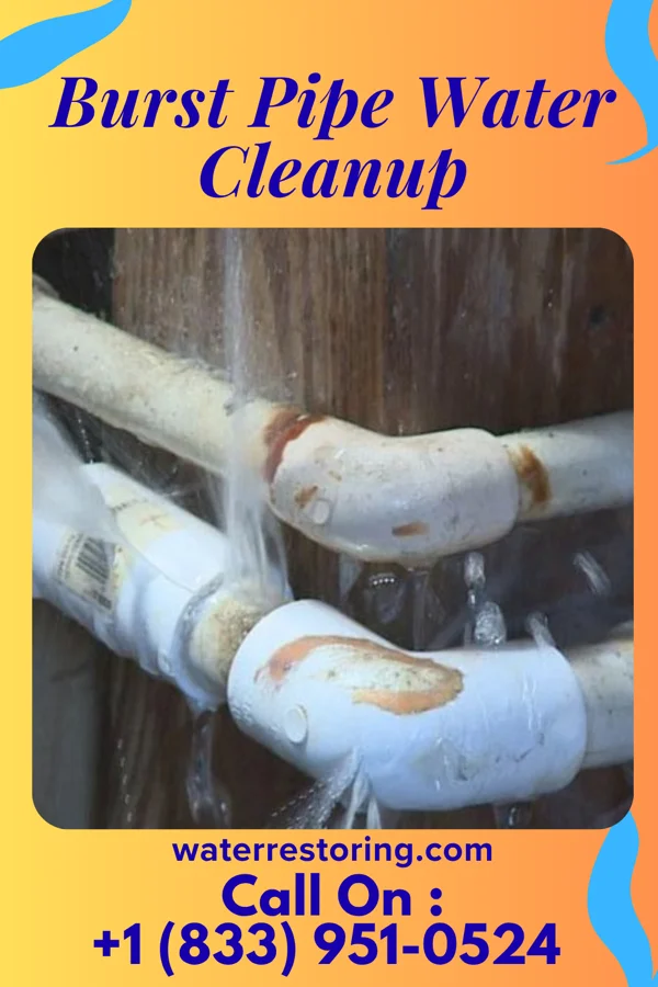Burst Pipe Water Cleanup in Walworth, WI