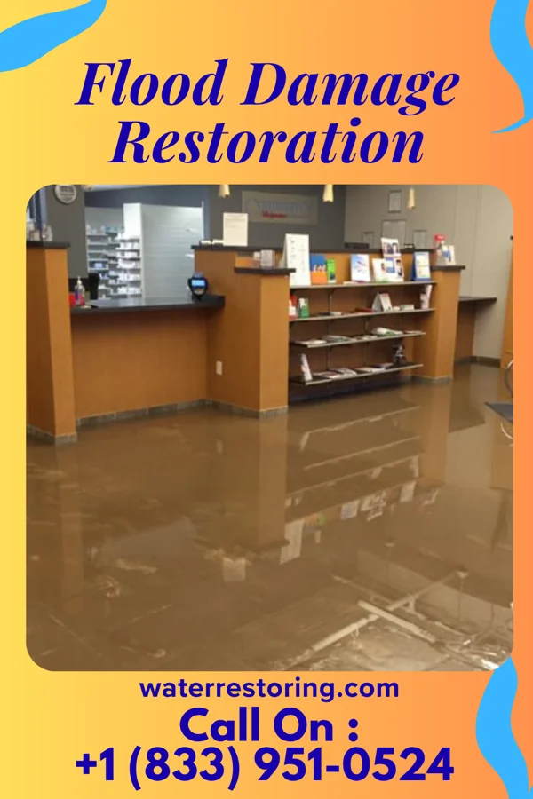 Flood Damage Restoration in Walworth, WI
