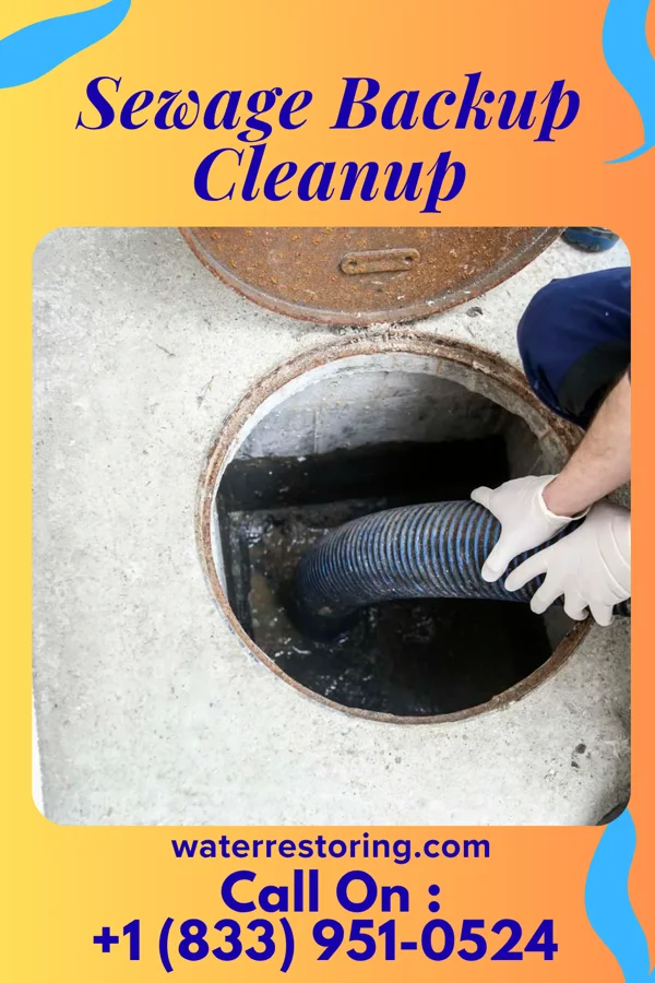 Sewage Backup Cleanup in Walworth, WI
